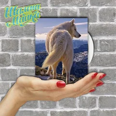  Animals 034 Волк 04